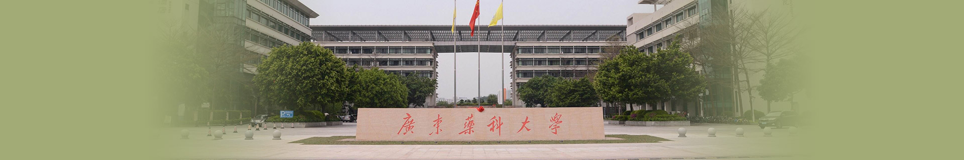 广东财经大学留学预科