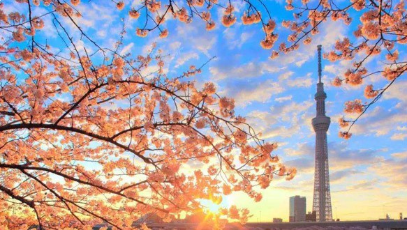 四川大学日本硕士留学预备课程2021年招生简章