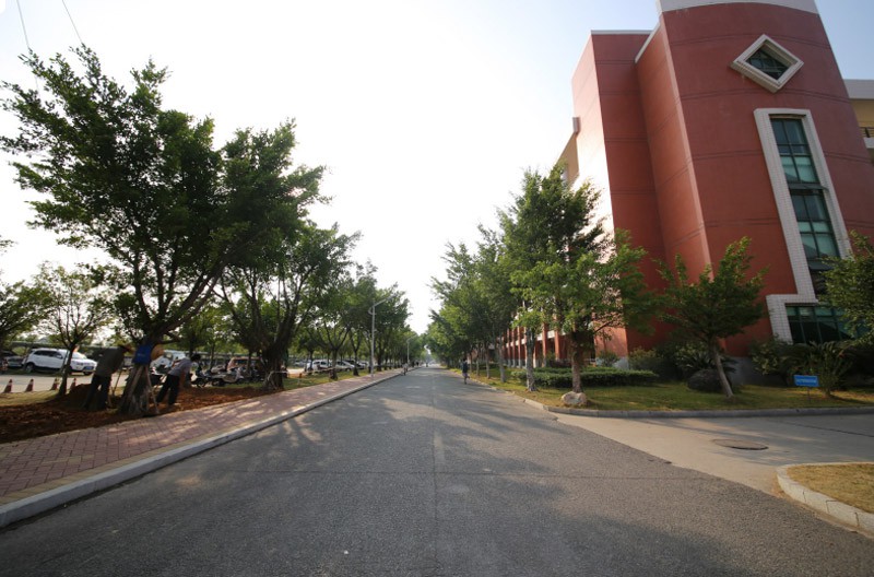 环境校园