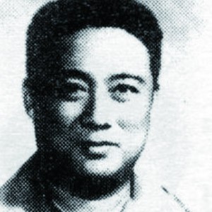 傅统先