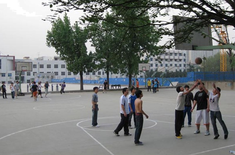 精彩图片