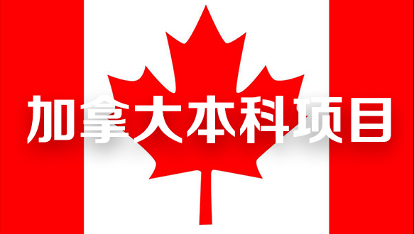 加拿大本科项目