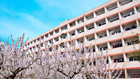 山东大学1+1百强名校国际硕士课程2021年招生简章