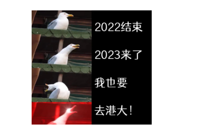 真实体验分享：港大这么难申，上港大都有什么感受和新的体验呢?