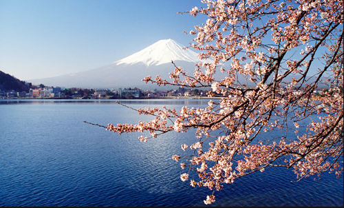 日本留学一年的花费是多少?