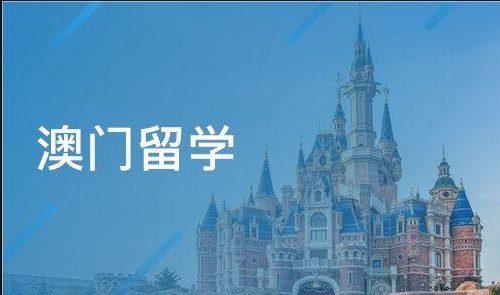 澳门大学有哪些热门专业？