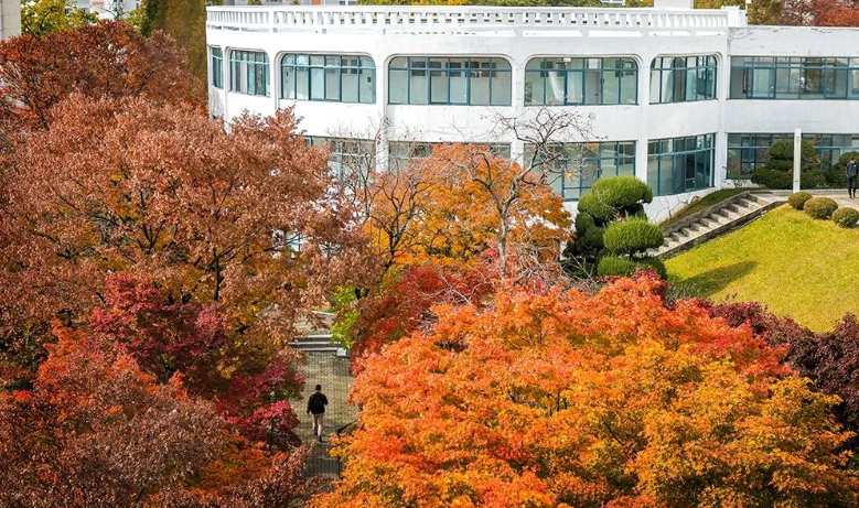 @准韩国留学,择校时必看!韩国16所大学及热门专业介绍